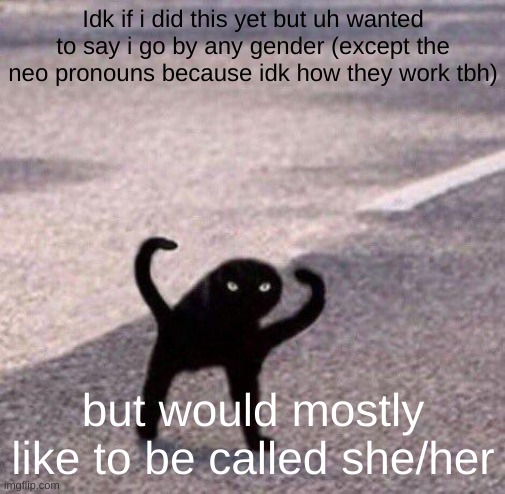 Also i dont care if you call me 'dude man' i honestly don't car but it does become weird if somebody called me father- | Idk if i did this yet but uh wanted to say i go by any gender (except the neo pronouns because idk how they work tbh); but would mostly like to be called she/her | image tagged in cursed cat temp | made w/ Imgflip meme maker