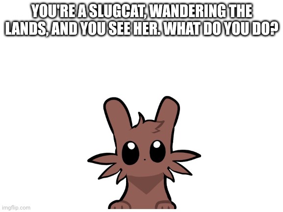 Rules in tags | YOU'RE A SLUGCAT, WANDERING THE LANDS, AND YOU SEE HER. WHAT DO YOU DO? | image tagged in no nsfw,longer rps in memechat,dont kill her please,no op ocs,be a slugcat | made w/ Imgflip meme maker