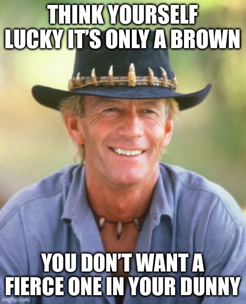 Noice! | THINK YOURSELF LUCKY IT’S ONLY A BROWN; YOU DON’T WANT A FIERCE ONE IN YOUR DUNNY | image tagged in noice | made w/ Imgflip meme maker
