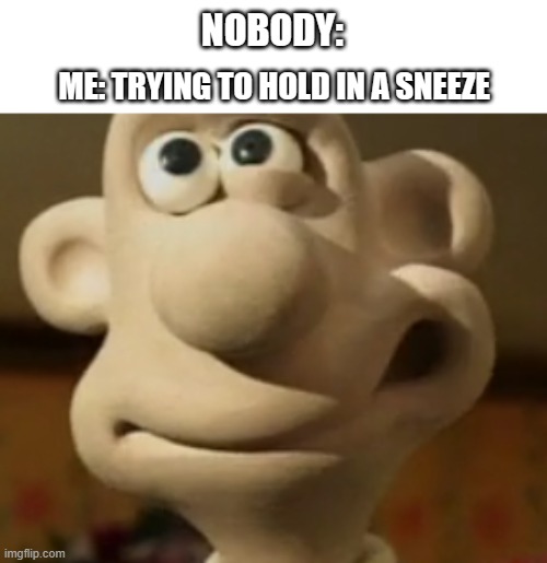 Wallace crazy | NOBODY:; ME: TRYING TO HOLD IN A SNEEZE | image tagged in wallace crazy,memes,sneeze,nobody | made w/ Imgflip meme maker