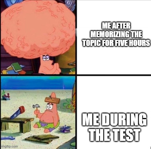 my brain malfunctioned | ME AFTER MEMORIZING THE TOPIC FOR FIVE HOURS; ME DURING THE TEST | image tagged in patrick big brain | made w/ Imgflip meme maker