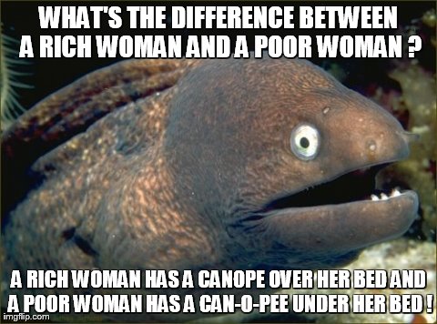 Bad Joke Eel Meme | WHAT'S THE DIFFERENCE BETWEEN A RICH WOMAN AND A POOR WOMAN ? A RICH WOMAN HAS A CANOPE OVER HER BED AND A POOR WOMAN HAS A CAN-O-PEE UNDER  | image tagged in memes,bad joke eel | made w/ Imgflip meme maker