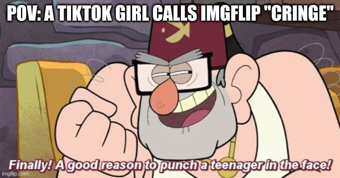 honestly | POV: A TIKTOK GIRL CALLS IMGFLIP "CRINGE" | image tagged in finally a good reason to punch a teenager in the face | made w/ Imgflip meme maker
