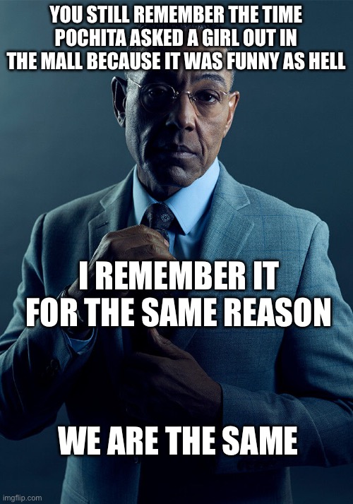The girl was probably scared as hell | YOU STILL REMEMBER THE TIME POCHITA ASKED A GIRL OUT IN THE MALL BECAUSE IT WAS FUNNY AS HELL; I REMEMBER IT FOR THE SAME REASON; WE ARE THE SAME | image tagged in gus fring we are not the same | made w/ Imgflip meme maker