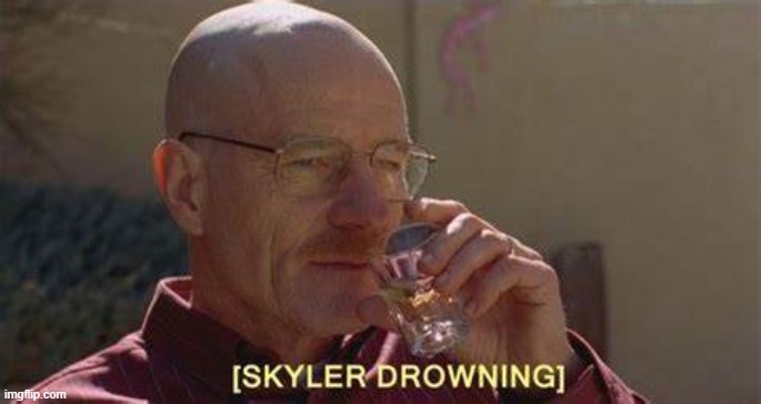 [Skyler Drowning] | image tagged in skyler drowning | made w/ Imgflip meme maker