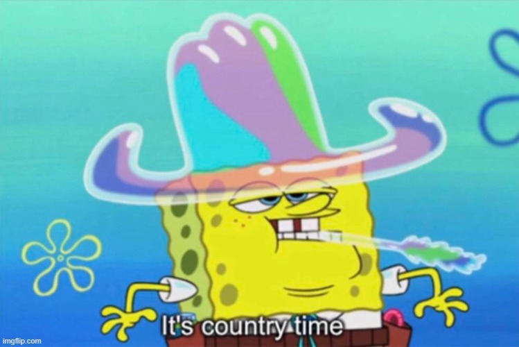 It's country time | image tagged in it's country time | made w/ Imgflip meme maker