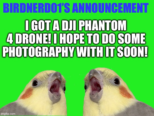 Does this count as photography related? | BIRDNERD01’S ANNOUNCEMENT; I GOT A DJI PHANTOM 4 DRONE! I HOPE TO DO SOME PHOTOGRAPHY WITH IT SOON! | image tagged in drone | made w/ Imgflip meme maker