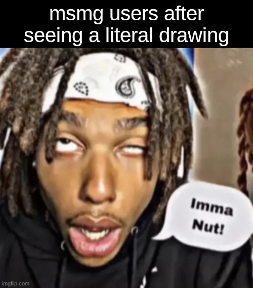 Imma Nut! | msmg users after seeing a literal drawing | image tagged in imma nut | made w/ Imgflip meme maker