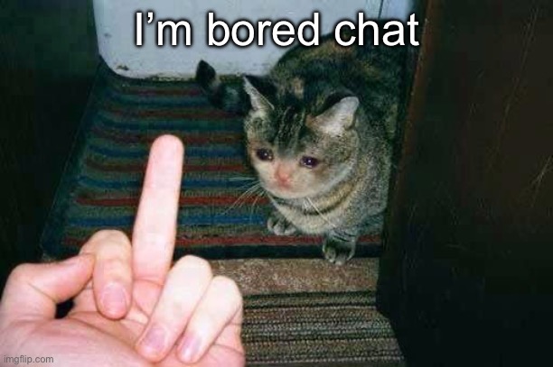 middle finger cat | I’m bored chat | image tagged in middle finger cat | made w/ Imgflip meme maker