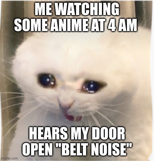 My mom gonna put me to sleep | ME WATCHING SOME ANIME AT 4 AM; HEARS MY DOOR OPEN "BELT NOISE" | image tagged in anime,praying | made w/ Imgflip meme maker