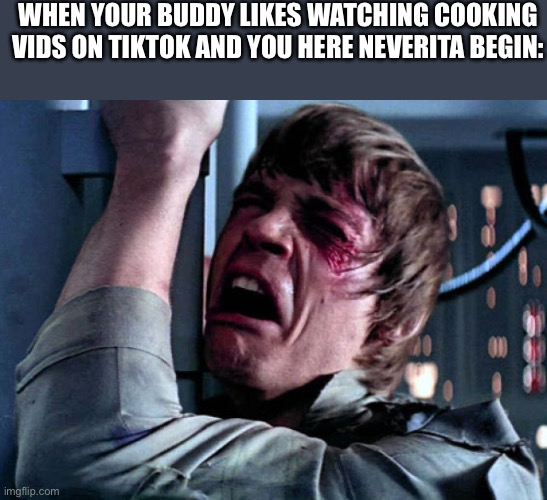 Nooooooo | WHEN YOUR BUDDY LIKES WATCHING COOKING VIDS ON TIKTOK AND YOU HERE NEVERITA BEGIN: | image tagged in nooo | made w/ Imgflip meme maker
