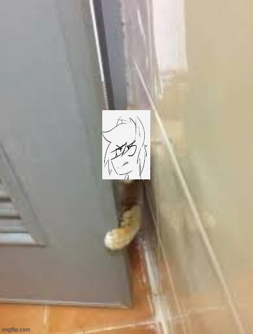 Cat squeezing through the door | image tagged in cat squeezing through the door | made w/ Imgflip meme maker