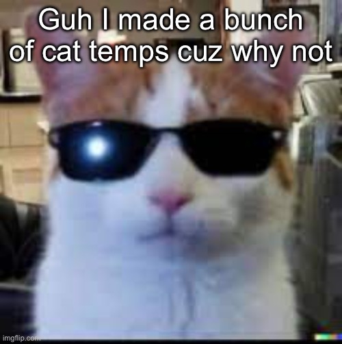 drip cat | Guh I made a bunch of cat temps cuz why not | image tagged in drip cat | made w/ Imgflip meme maker