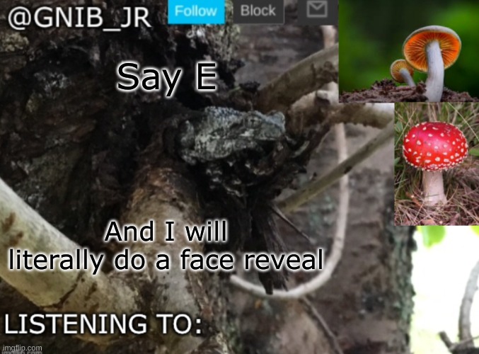no garuntees | Say E; And I will literally do a face reveal | image tagged in gnib_jr's new temp | made w/ Imgflip meme maker