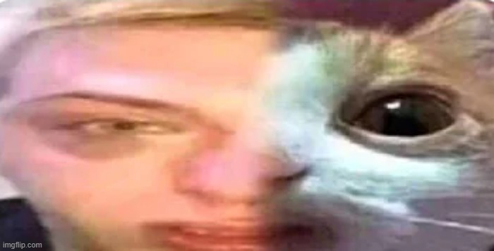 Morbin' time | made w/ Imgflip meme maker