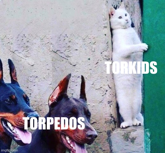 get it | TORKIDS; TORPEDOS | image tagged in hide cat dogs | made w/ Imgflip meme maker