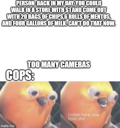 Too many cameras | PERSON: BACK IN MY DAY, YOU COULD WALK IN A STORE WITH $1 AND COME OUT WITH 20 BAGS OF CHIPS,6 ROLLS OF MENTOS, AND FOUR GALLONS OF MILK. CAN'T DO THAT NOW. COPS:; TOO MANY CAMERAS | image tagged in blank white template,listen here you little shit bird | made w/ Imgflip meme maker