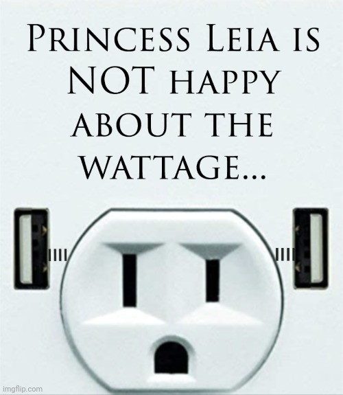 Today's Pareidolia Tidbit! | image tagged in princess leia,unhappy | made w/ Imgflip meme maker