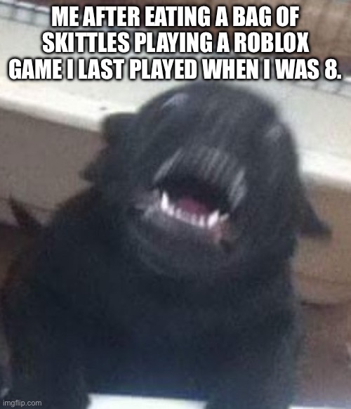 This was my night. | ME AFTER EATING A BAG OF SKITTLES PLAYING A ROBLOX GAME I LAST PLAYED WHEN I WAS 8. | image tagged in skittles,dog,hyper,funny,fun | made w/ Imgflip meme maker