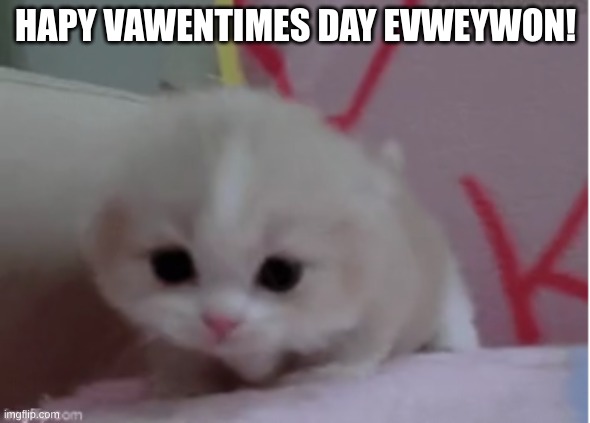 I hope y'all had a great valentines day! | HAPY VAWENTIMES DAY EVWEYWON! | image tagged in aww,cat,cute,cats | made w/ Imgflip meme maker