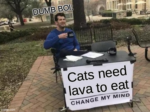 A dumb man who has brain damage | DUMB BOI:; Cats need lava to eat | image tagged in memes,change my mind | made w/ Imgflip meme maker
