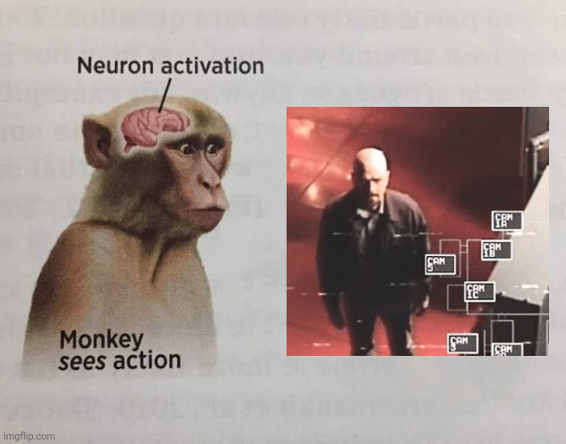 Monkey neuron activation | image tagged in monkey neuron activation | made w/ Imgflip meme maker