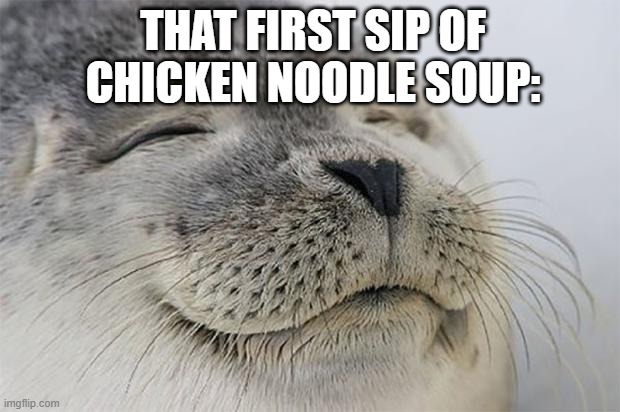CHICKEN NOODLE | THAT FIRST SIP OF CHICKEN NOODLE SOUP: | image tagged in memes,satisfied seal | made w/ Imgflip meme maker
