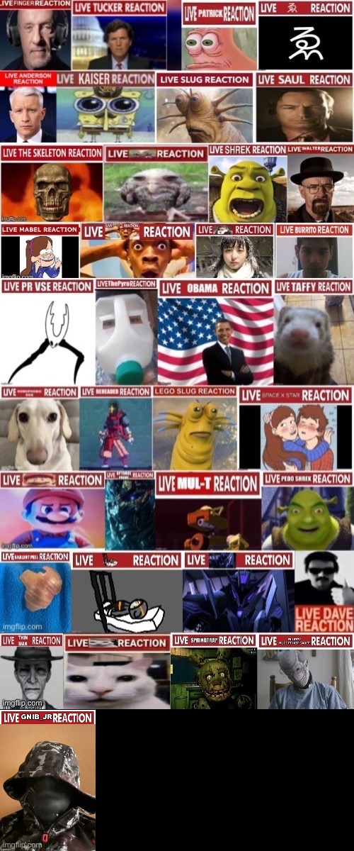 Live Gnib_Jr reaction | made w/ Imgflip meme maker