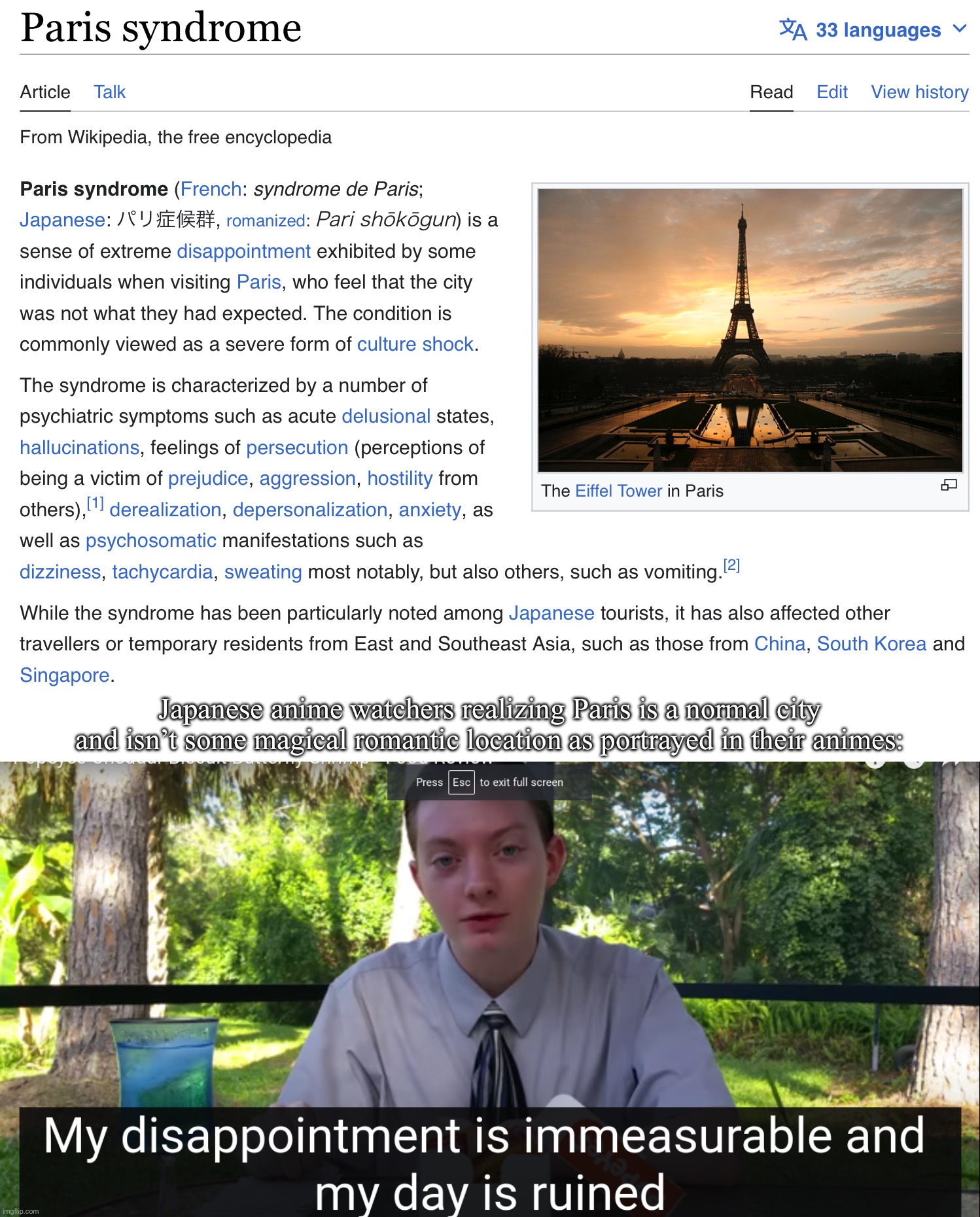 The reverse version of American weebs going to Japan and asking where the subtitles are | Japanese anime watchers realizing Paris is a normal city and isn’t some magical romantic location as portrayed in their animes: | image tagged in my disappointment is immeasurable and my day is ruined | made w/ Imgflip meme maker