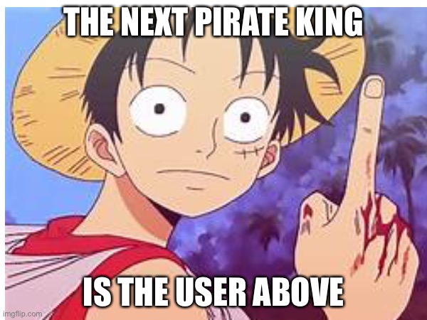 Totally true | THE NEXT PIRATE KING; IS THE USER ABOVE | image tagged in onepiece | made w/ Imgflip meme maker
