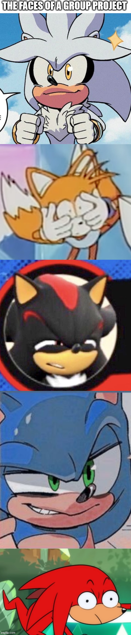 group projects made you or broke you | THE FACES OF A GROUP PROJECT | image tagged in sonic the hedgehog | made w/ Imgflip meme maker