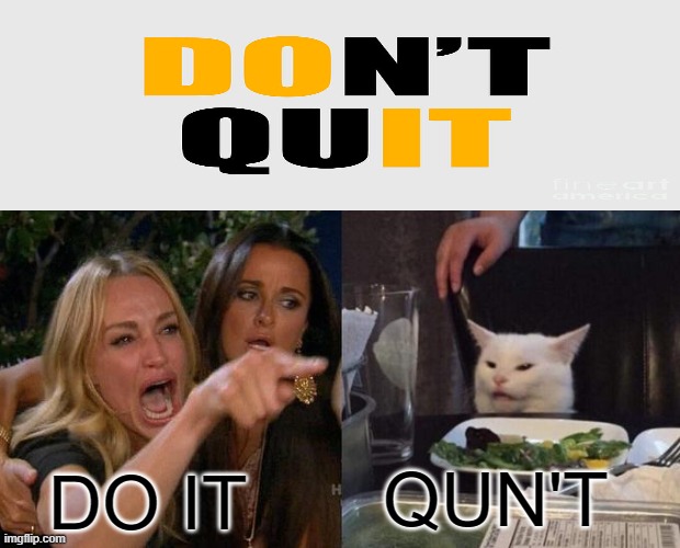 Woman Yelling At Cat Meme | QUN'T; DO IT | image tagged in memes,woman yelling at cat | made w/ Imgflip meme maker