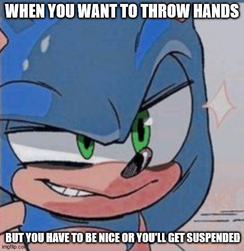 Stay out of trouble kiddos | WHEN YOU WANT TO THROW HANDS; BUT YOU HAVE TO BE NICE OR YOU'LL GET SUSPENDED | image tagged in sonic the hedgehog | made w/ Imgflip meme maker