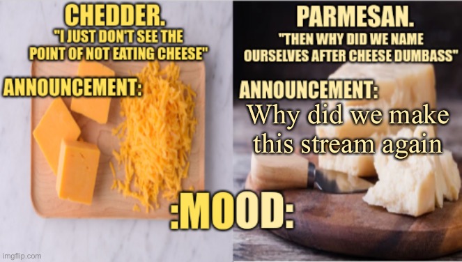 i dont know | Why did we make this stream again | image tagged in chedder parmesan 's temp | made w/ Imgflip meme maker