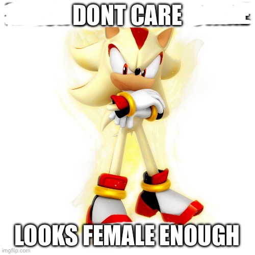 Minor Spelling Mistake HD | DONT CARE LOOKS FEMALE ENOUGH | image tagged in minor spelling mistake hd | made w/ Imgflip meme maker