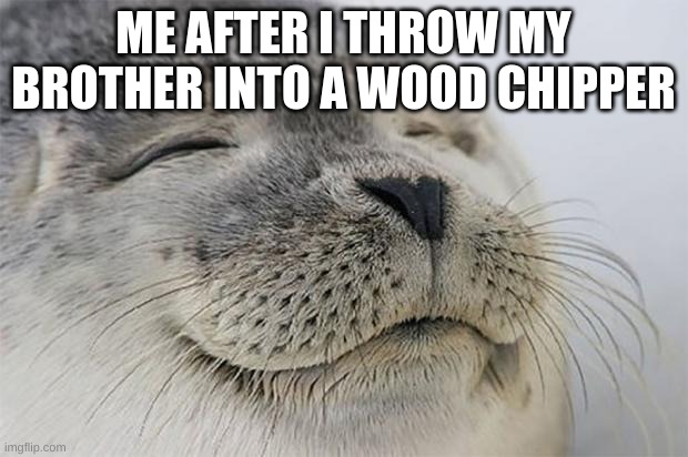ahh peace and quiet | ME AFTER I THROW MY BROTHER INTO A WOOD CHIPPER | image tagged in memes,satisfied seal | made w/ Imgflip meme maker