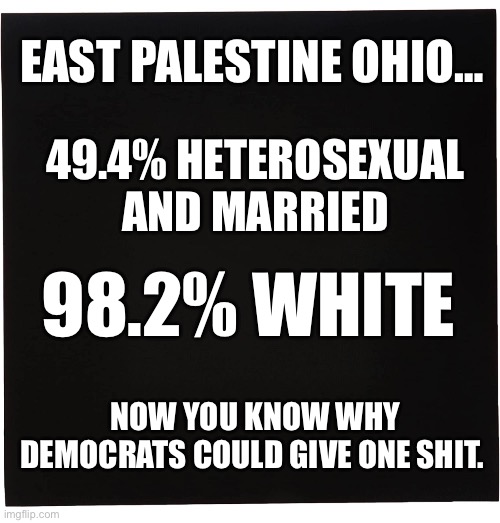 EAST PALESTINE OHIO…; 49.4% HETEROSEXUAL AND MARRIED; 98.2% WHITE; NOW YOU KNOW WHY DEMOCRATS COULD GIVE ONE SHIT. | made w/ Imgflip meme maker