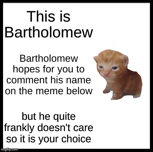 Bartholomew | This is Bartholomew; Bartholomew hopes for you to comment his name on the meme below; but he quite frankly doesn't care so it is your choice | image tagged in memes,be like bill | made w/ Imgflip meme maker