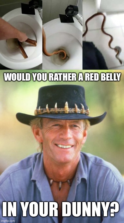 Toilet brown | WOULD YOU RATHER A RED BELLY; IN YOUR DUNNY? | image tagged in noice,snake,brown,toilet,dunny,meanwhile in australia | made w/ Imgflip meme maker