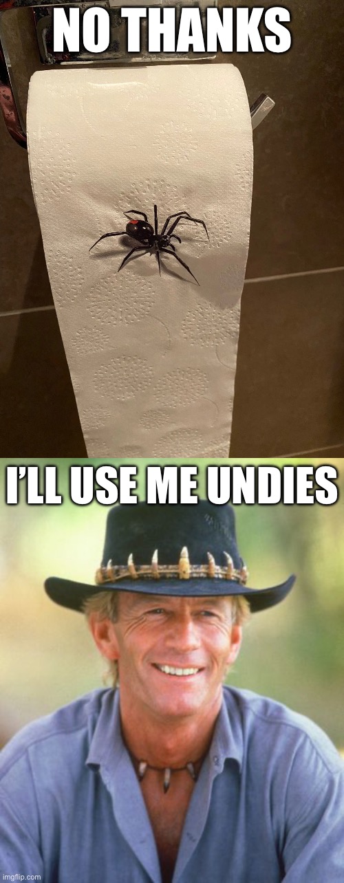 Red back on the toilet paper | NO THANKS; I’LL USE ME UNDIES | image tagged in noice,redback,spider,toilet,toilet paper | made w/ Imgflip meme maker