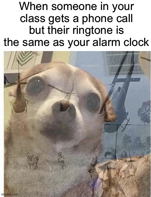 This happened during my math test and it was excruciatingly painful |  When someone in your class gets a phone call but their ringtone is the same as your alarm clock | image tagged in ptsd chihuahua,alarm,alarm clock,apple alarm clock,war flashbacks,vietnam war flashbacks | made w/ Imgflip meme maker