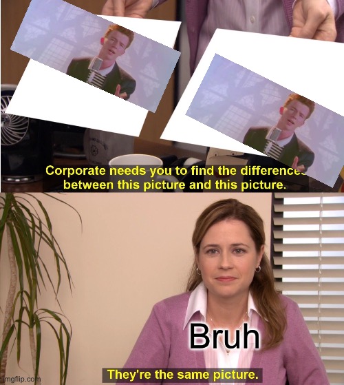 They're The Same Picture Meme | Bruh | image tagged in memes,they're the same picture | made w/ Imgflip meme maker