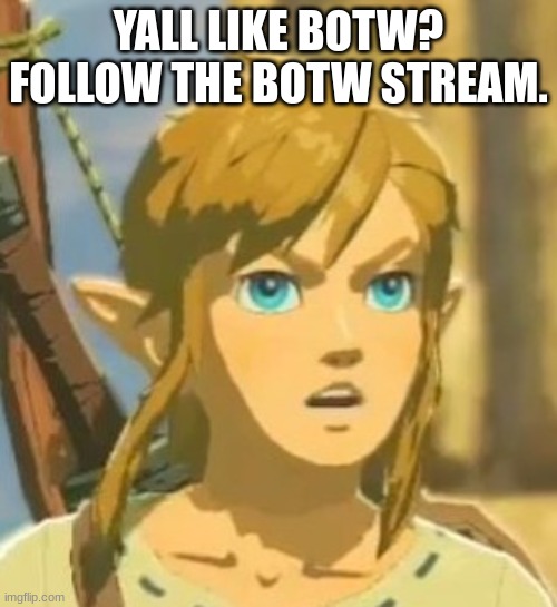 Offended Link | YALL LIKE BOTW? FOLLOW THE BOTW STREAM. | image tagged in offended link | made w/ Imgflip meme maker