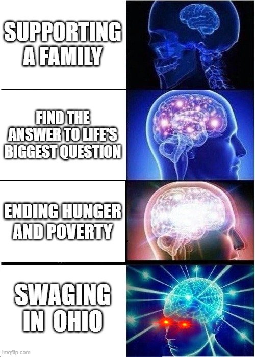 Expanding Brain | SUPPORTING A FAMILY; FIND THE ANSWER TO LIFE'S BIGGEST QUESTION; ENDING HUNGER AND POVERTY; SWAGING IN  OHIO | image tagged in memes,expanding brain | made w/ Imgflip meme maker