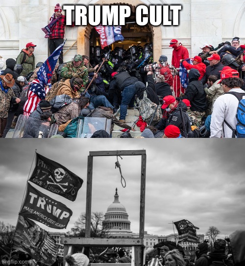 TRUMP CULT | image tagged in trump cult insurrection riot,capitol hill riot gallows | made w/ Imgflip meme maker