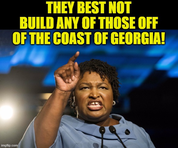 Stacey Abrams | THEY BEST NOT BUILD ANY OF THOSE OFF OF THE COAST OF GEORGIA! | image tagged in stacey abrams | made w/ Imgflip meme maker