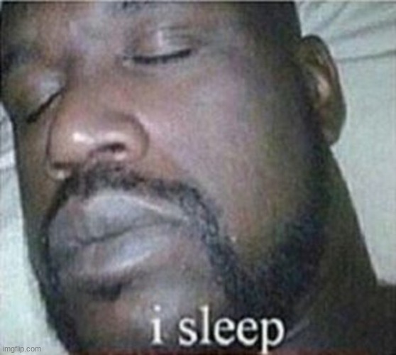 i feel like shit rn gn | image tagged in shaq i sleep only | made w/ Imgflip meme maker