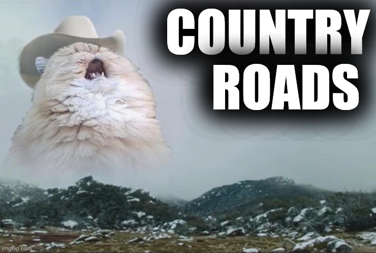 Screaming Cowboy Cat | COUNTRY ROADS | image tagged in screaming cowboy cat | made w/ Imgflip meme maker