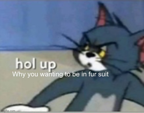Hol up | Why you wanting to be in fur suit | image tagged in hol up | made w/ Imgflip meme maker