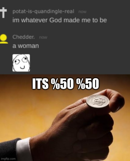 ITS %50 %50 | image tagged in coin flip | made w/ Imgflip meme maker